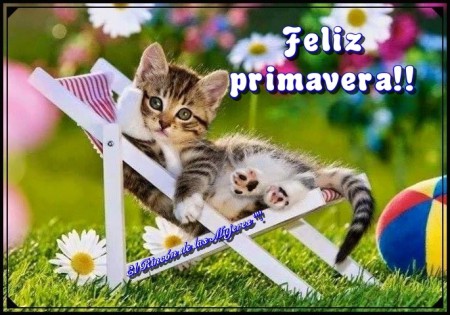 Llegó la primavera!!!