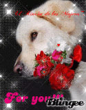For you