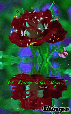 Rosa roja