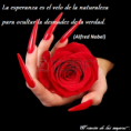 /album/la-esperanza/a62-png/