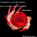 /album/la-esperanza/a65-png/