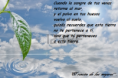/album/cuando-la-sangre-de-tus-venas-retorne-al-mar/a92-png/