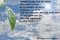 /album/cuando-la-sangre-de-tus-venas-retorne-al-mar/a96-png/