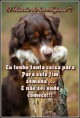 /album/fotogaleria-tengo-tanto-para-hacer/a4-jpg/